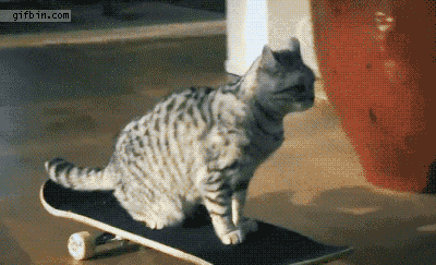 Animais_020.gif
