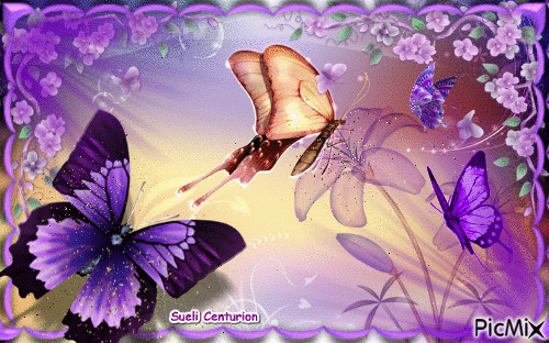 Borboletas_007.gif