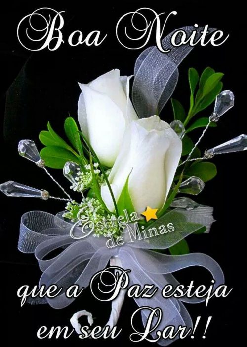 Boa_Noite_019.gif