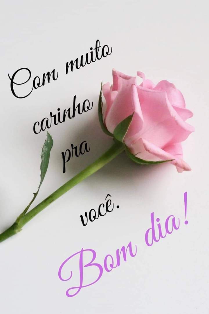 Bom_Dia_011.gif