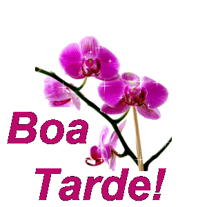 Boa_Tarde_023.gif